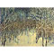 Path through Birch Trees in Winter's Snow, watercolour paintings by Mary Ng